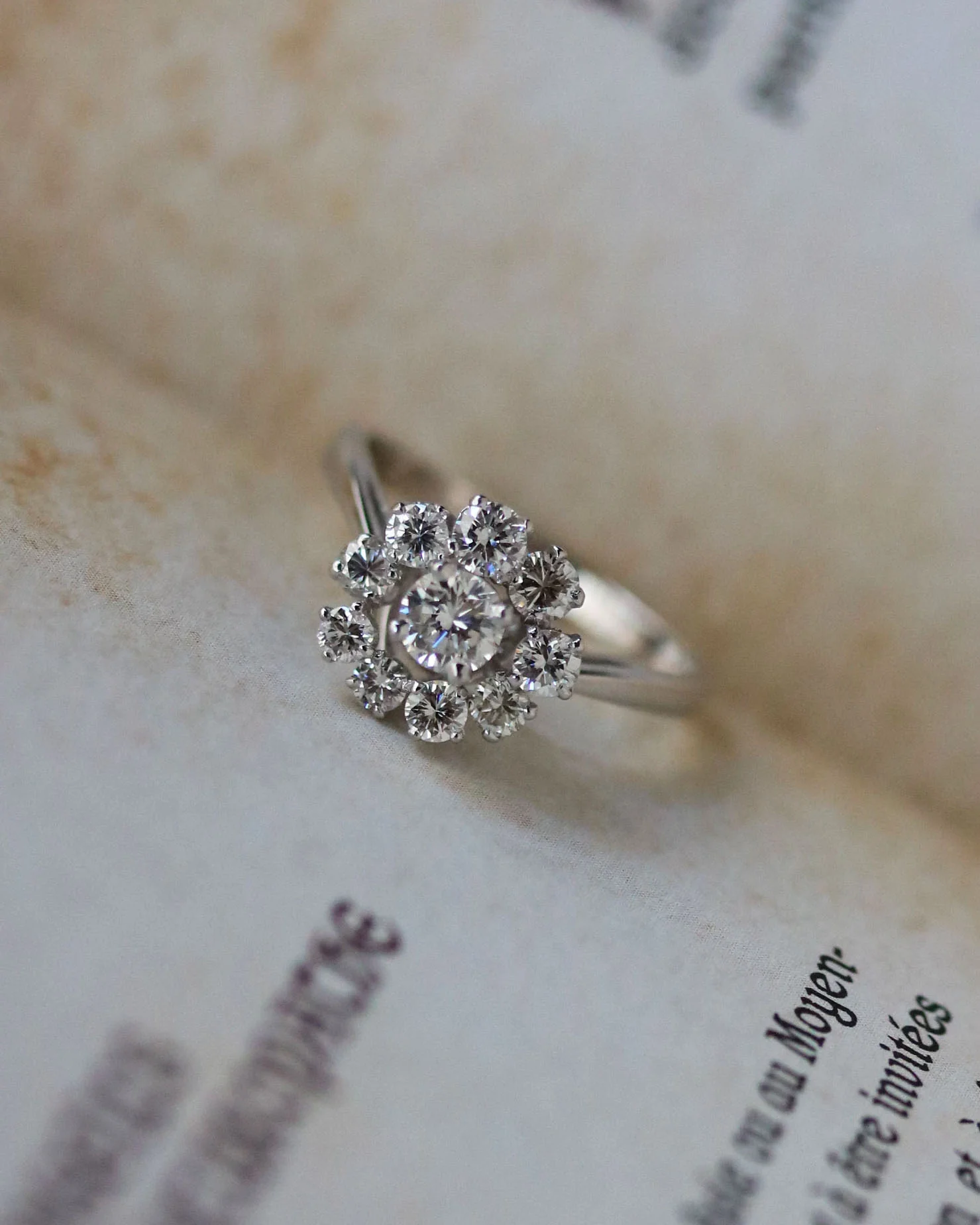Bague Marguerite Or blanc et Diamants - Image 5