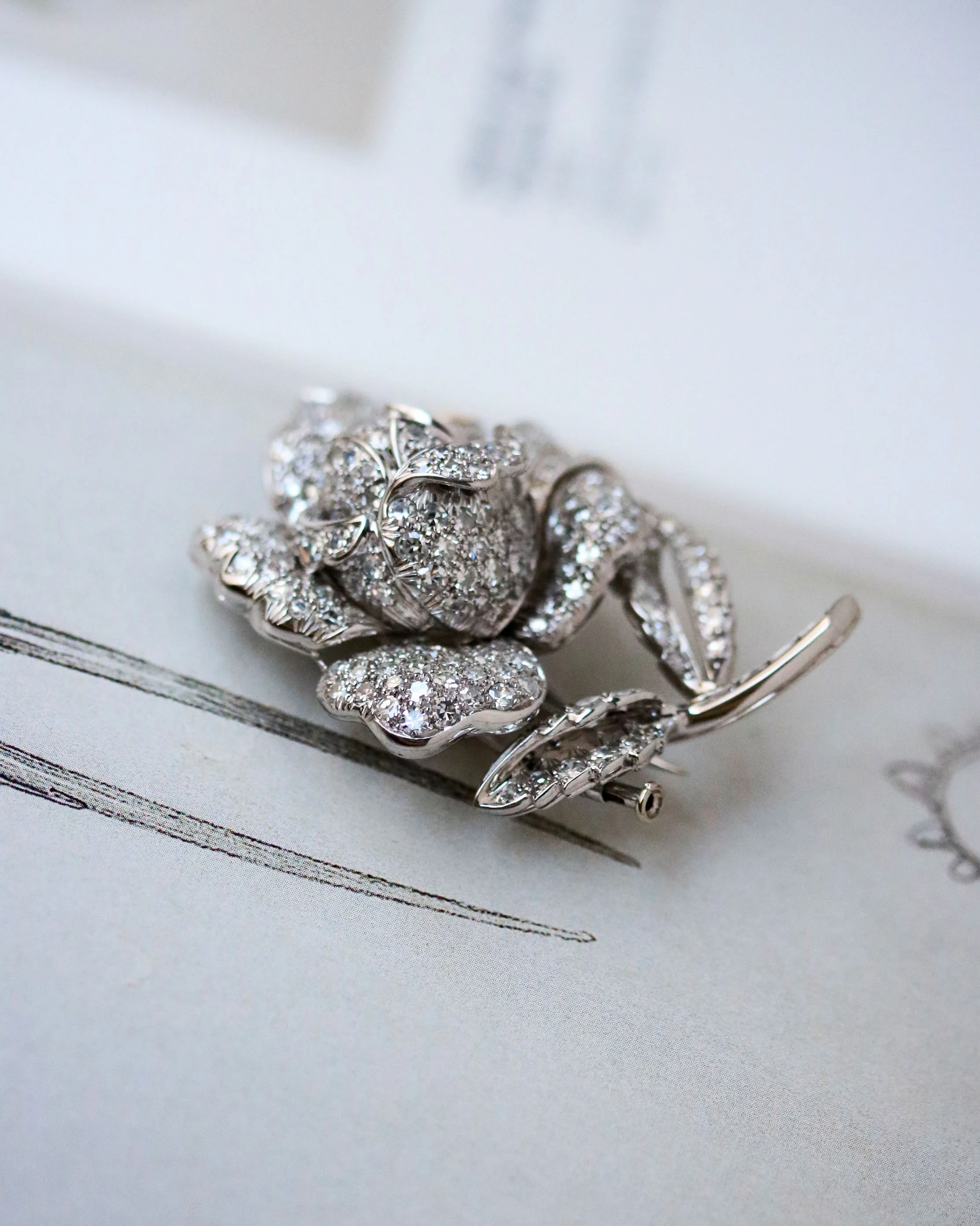 Broche Ancienne Or Blanc Platine et Diamants - Image 4