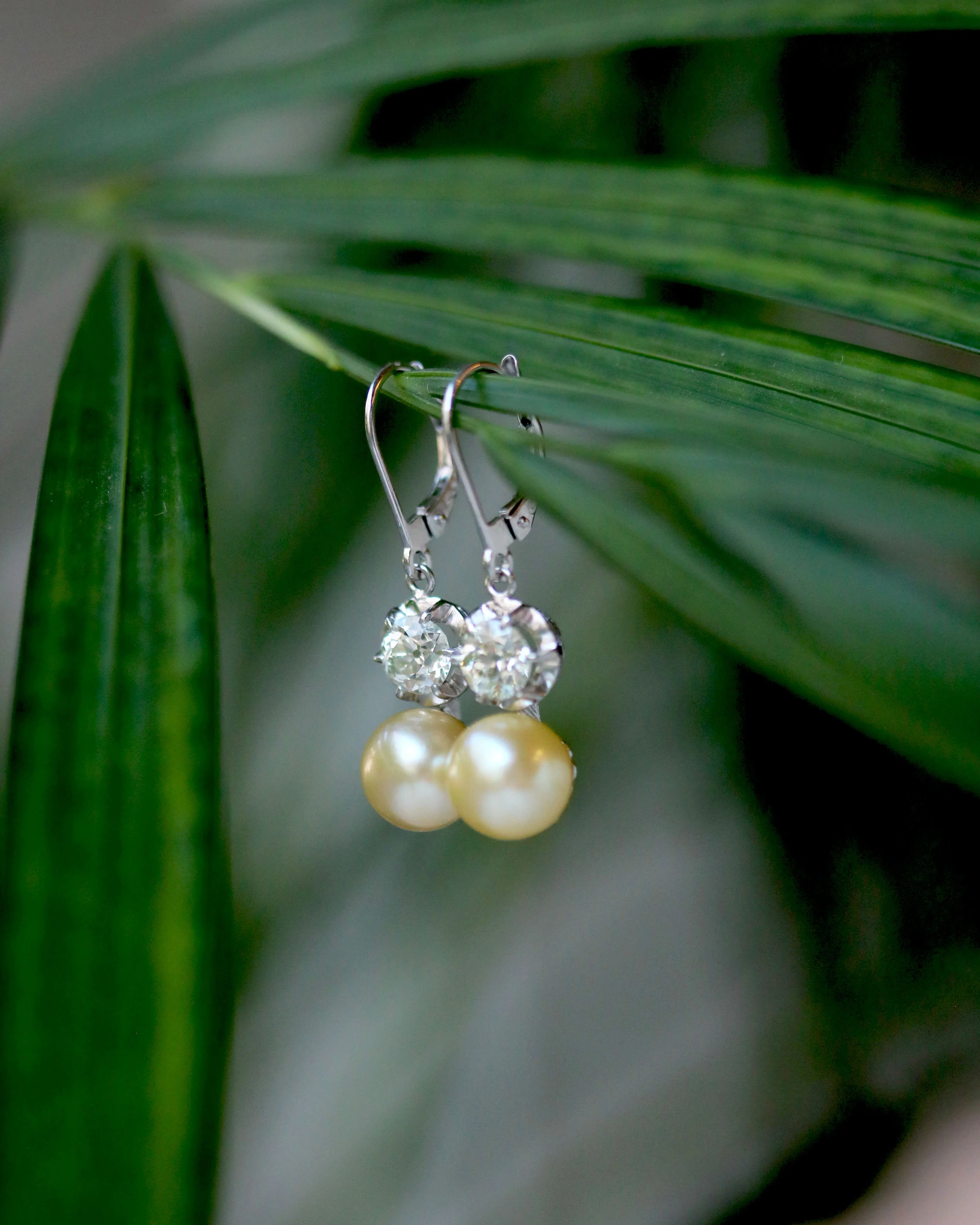 Paire de Dormeuses Diamant et Perle de Culture - Image 3